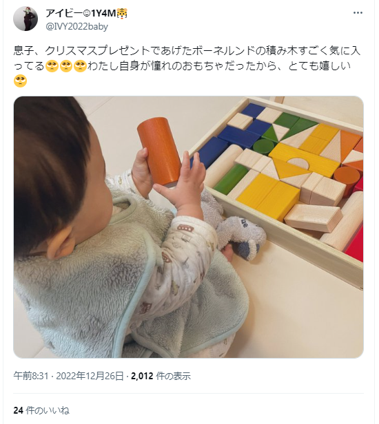 ボーネルンドの評判4