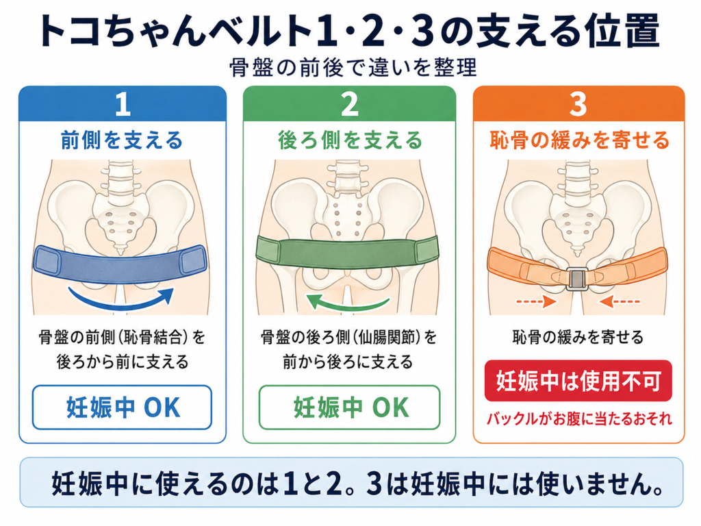 トコちゃんベルト1・2・3の支える位置を骨盤の前後で示した図解