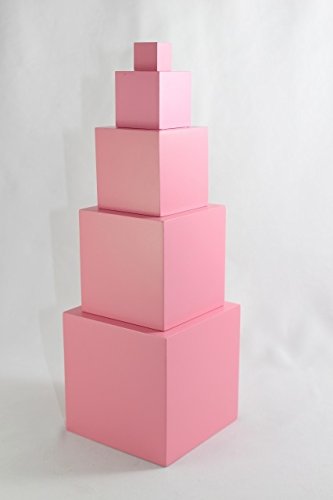 モンテッソーリ ピンクタワー 大 エコノミー