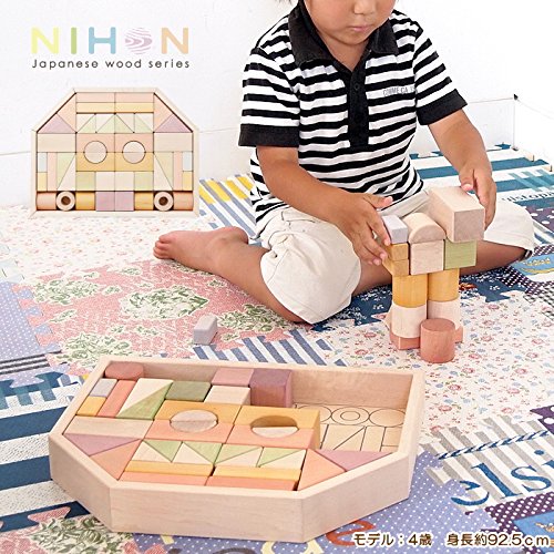 エド・インター つみきのいえM