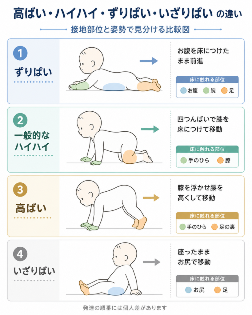 高ばい・ハイハイ・ずりばい・いざりばいの接地部位と姿勢を比べた縦型図