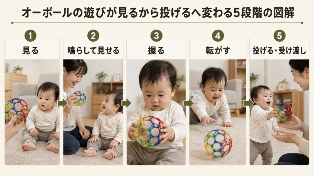 オーボールの遊びが見るから投げるへ変わる5段階の図解
