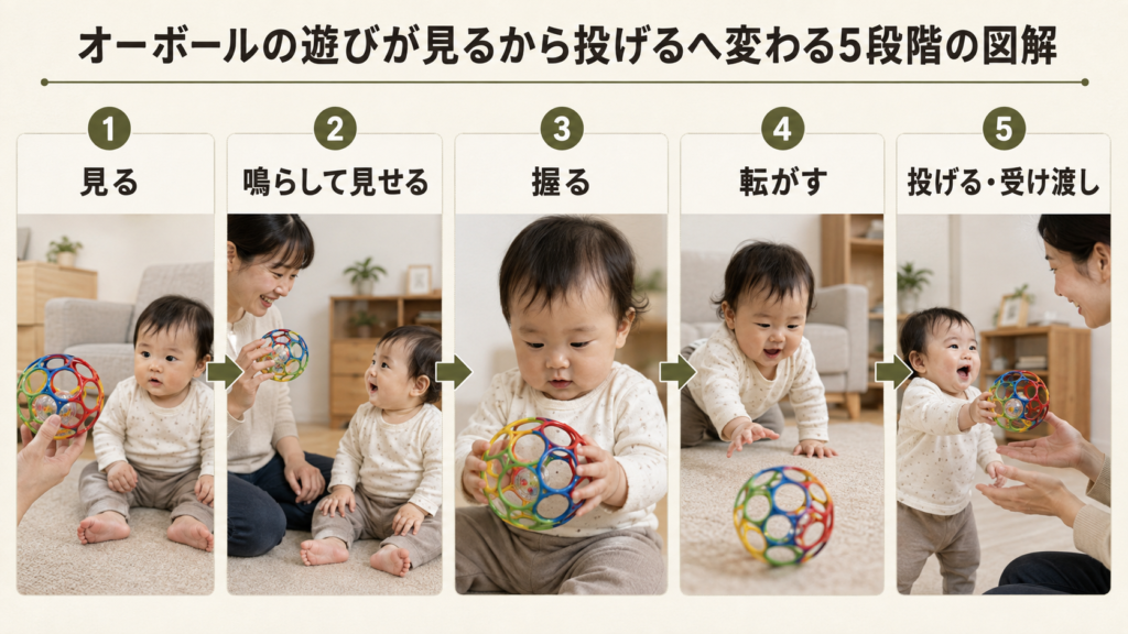 オーボールの遊びが見るから投げるへ変わる5段階の図解