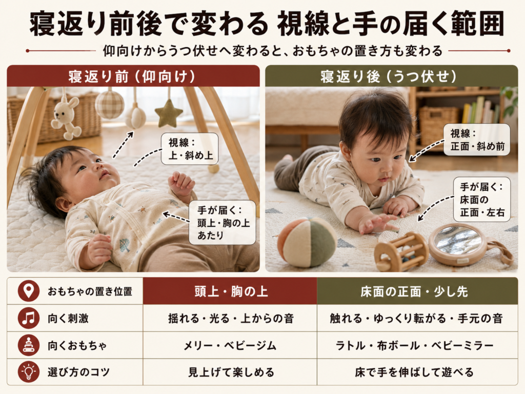 寝返り前（仰向け）と寝返り後（うつ伏せ）で視線と手の届く範囲がどう変わるかを示した図解